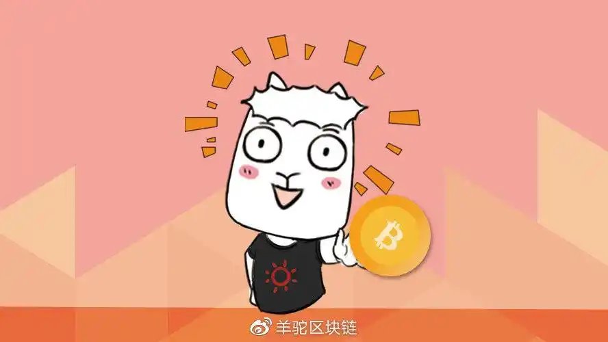 Mining farm setup showcasing numerous mining rigs working together