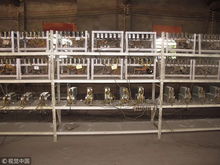 An overview of a modern mining rig setup in a hosted facility, showcasing technological advancements in cryptocurrency mining