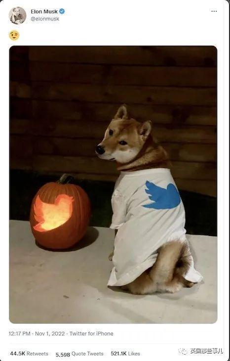 A vibrant representation of Dogecoin in the mining ecosystem